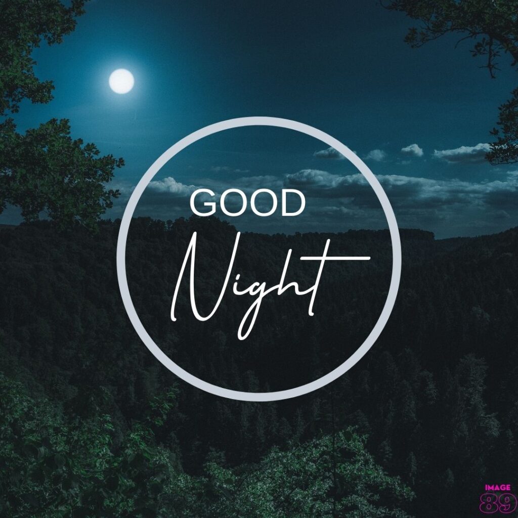 sweet and simple good night image for anyone