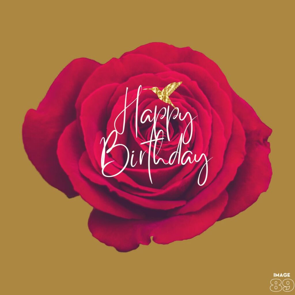 happy birthday image with big red rose background image and a golden bird decor