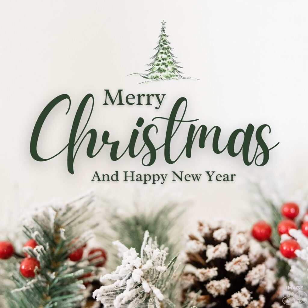 merry christmas and happy new year wishes image