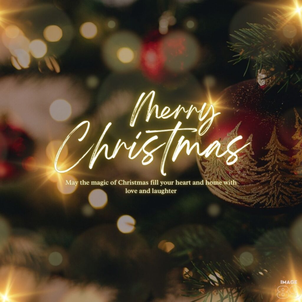 MERRY CHRISTMAS WITH ONE LINE WARM WISHES FOR YOUR FAMILY