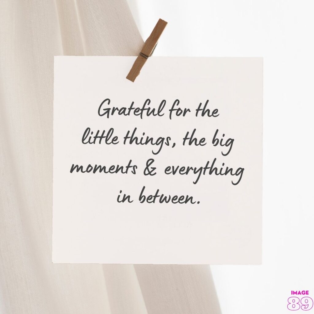 GRATEFUL FOR THE LITTLE THINGS MOTIVATIONAL LINES IMAGE