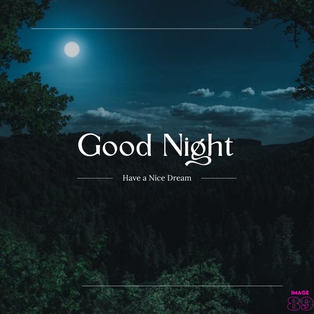 good night with have a nice dream image for anyone with beautiful moon decor