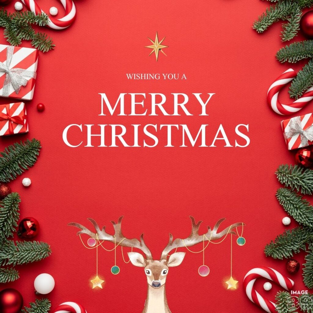 Merry Christmas enjoy the holiday break simple and beautiful Merry Christmas and happy new year cards for your family and friends