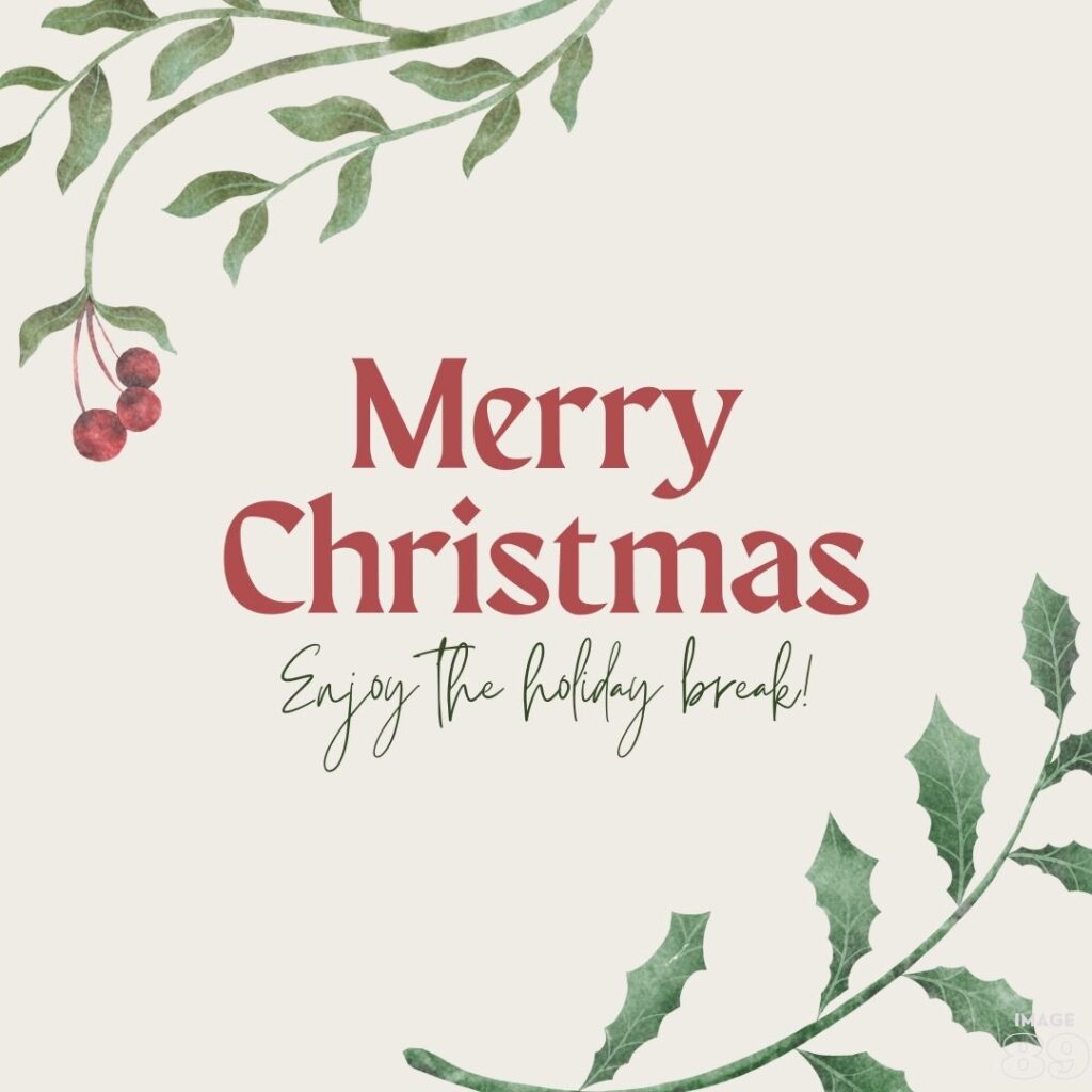 Merry Christmas enjoy the holiday break simple and beautiful Merry Christmas and happy new year cards for your family and friends