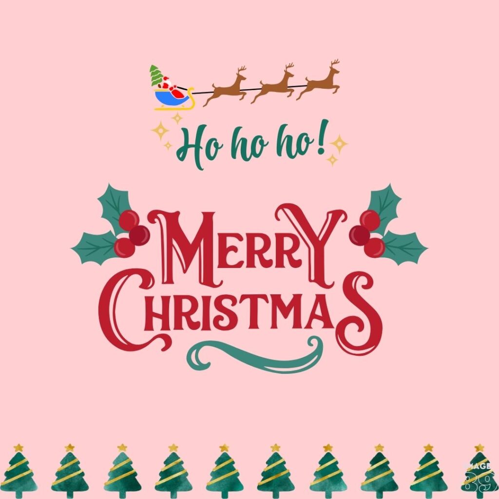 MERRY CHRISTMAS WISHING IMAGE WITH SANTA AND REINDEER CART